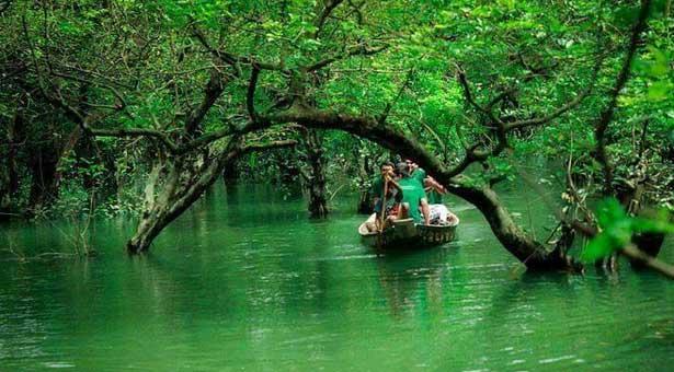 সিলেটের সুন্দরবন রাতারগুলে প্রবেশ ফি ৫০-৫০০ টাকা নির্ধারণ