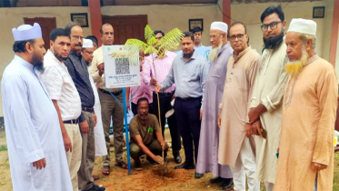 সিলেটে গনঅভ্যুত্থানে শহীদ ১৪ জনের নামে বৃক্ষরোপণ