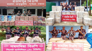 সিলেট সীমান্তে ১ কোটি ২০ লাখ টাকার চোরাই পণ্য জব্দ