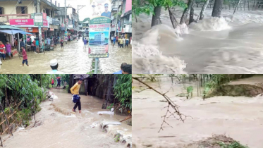 বন্যা প্রতিরক্ষা বাঁধে ভাঙন, তলিয়ে গেছে জকিগঞ্জ