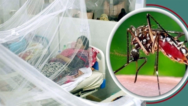 সিলেটে ফের বাড়ছে ডেঙ্গুর প্রকোপ, আক্রান্ত ৪, হাসপাতালে ৬