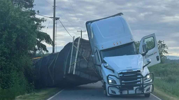উল্টে পড়া ট্রাক থেকে পালাল ২৫ কোটি মৌমাছি, সতর্কতা জারি