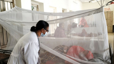 সিলেটে বাড়ছে ডেঙ্গুর প্রকোপ, আক্রান্ত ১৬৫